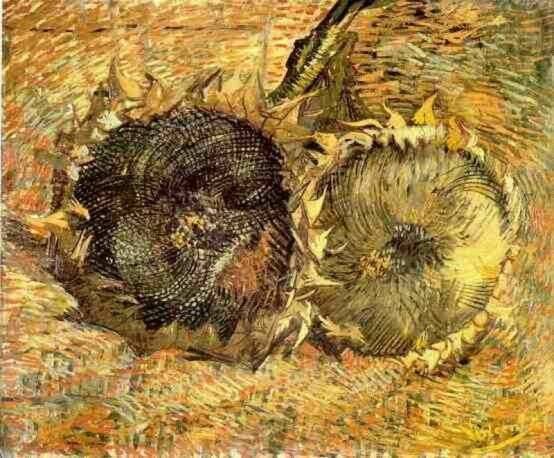 1887 deux tournesols coupes.jpg